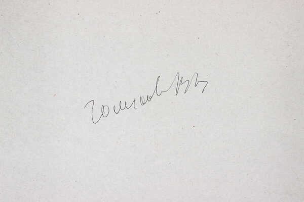 Голиков Василий Васильевич. Путеукладчик 